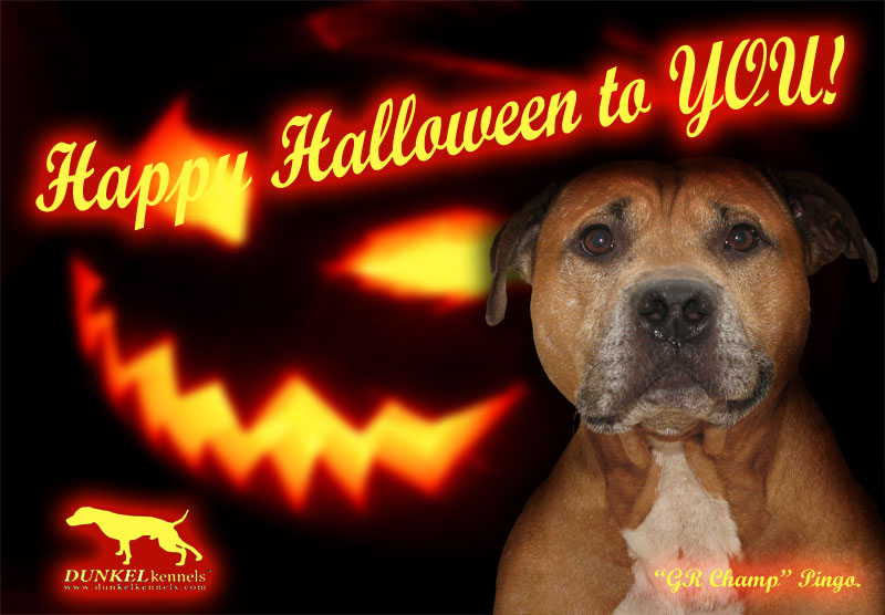 Welcome! Happy Halloween!